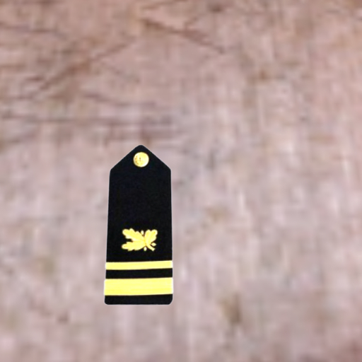second-life-marketplace-us-navy-supply-officer-ltjg